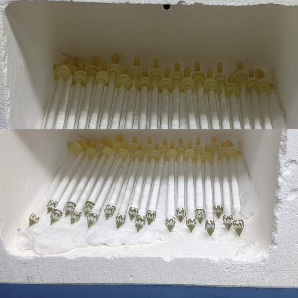 ガラスペン納品2